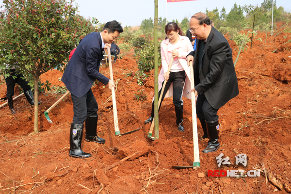 祁东县委副书记,县长胡果雄为百年古民居添绿.