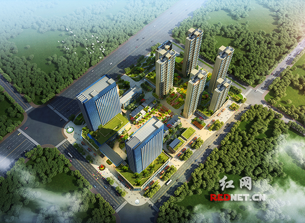 喜!衡阳高新区7大重点项目集中开工